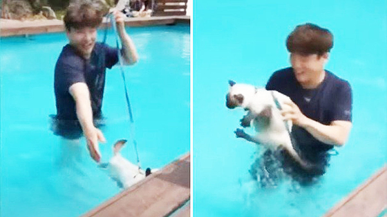 Screen grabs show Lee Ki-young smiling while his cat struggles to get out of a swimming pool [SCREEN CAPTURE}