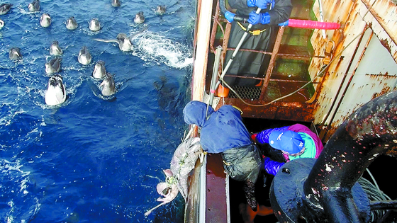 A Korean vessel catches toothfish near the Antarctic Ocean. [NATIONAL INSTITUTE OF FISHERIES SCIENCE]