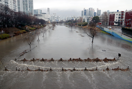 A park in Busan is submerged in rain on Friday morning. [YONHAP]