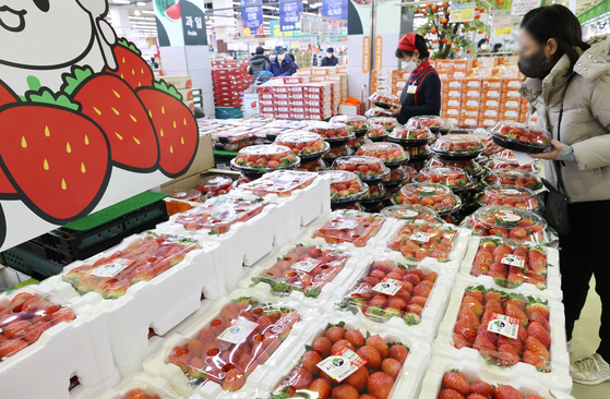 A customer shops for strawberries at a discount mart in Seoul on Thursday. [YONHAP]