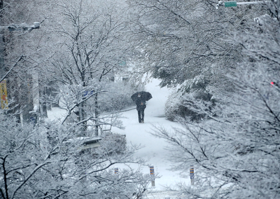 A person walks on a snowy road in Gangneung, Gangwon, on Sunday. [YONHAP] 
