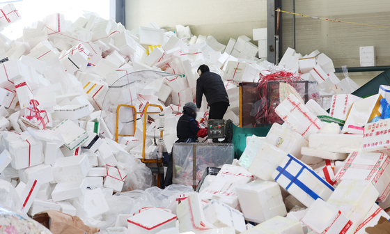 Massive piles of Styrofoam boxes fill a recycle center in Gyeonggi on Wednesday. Korea's two major national holidays — Lunar New Year and Chuseok — produce piles of cardboard or Styrofoam boxes every year from gifts of food such as meats and fruit. While some retailers are now shifting to more environment-friendly packaging, most still use older type of packaging. [YONHAP]