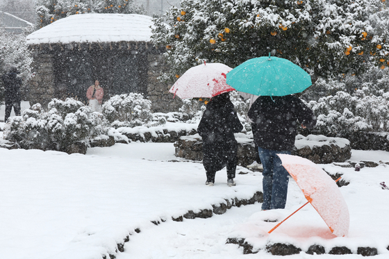 Snow falls heavily in the city of Seogwipo on Jeju Island on Friday morning. [YONHAP]
