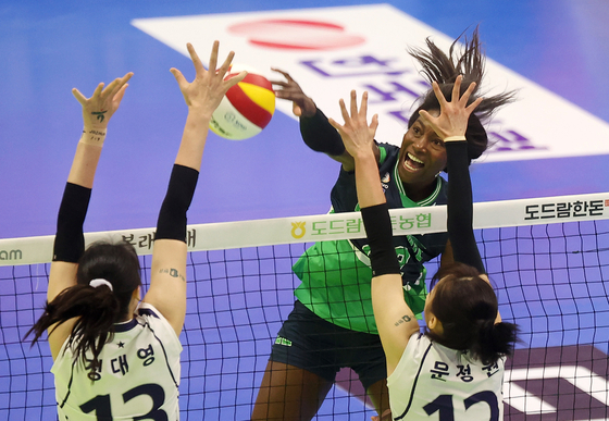 Ivonne Montano of Suwon Hyundai Engineering & Construction Hillstate attacks during a V Leauge game against Gimcheon Korea Express Hi-Pass at Suwon Gynamsium in Suwon, Gyeonggi on Tuesday. [NEWS1]