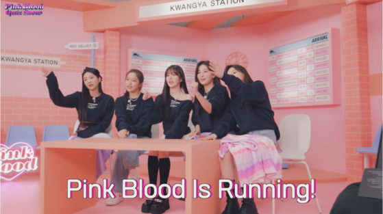 A subtitle reads ″Pink Blood is Running″ on SM Entertainment's YouTube entertainment show titled ″Pink Blood Quiz Show″ [SCREEN CAPTURE]