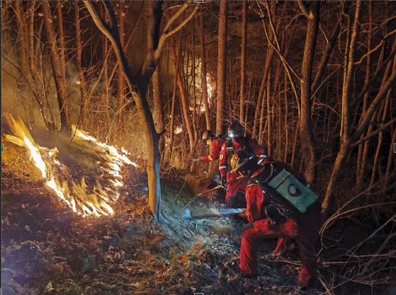 Firefighters set up a firebreak in a mountainside area in Yecheon County, North Gyeongsang, where an overnight blaze scorched 370,000 square meters before being extinguished at 9:30 a.m. Wednesday. [KOREA FOREST SERVICE]