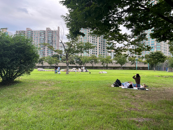 Fields at Ichon Han River Park [JOO DA-HAE]