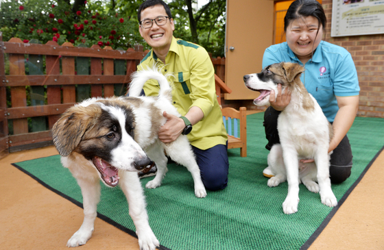 Two dogs of the native spotted sapsaree breed are shown to the public on May 24, 2017, at Daejeon O-World after they were cloned by a research team at Chungnam National University. [KIM SEONG-TAE]