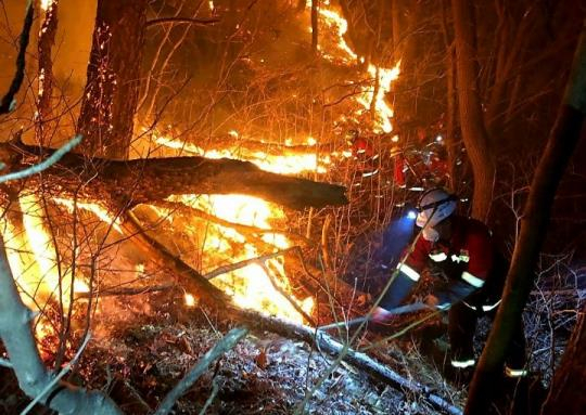 Firefighters try to extinguish the wildfire that occurred in Jirisan National Park in Hadong County in South Gyeongsang on Saturday. [NATIONAL FOREST SERVICE] 