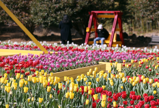 Visitors enjoy a sunny trip to Sanghyowon Botanical Garden. [NEWS1]