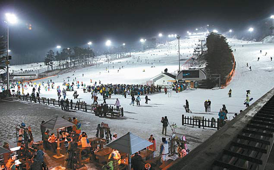 Skiers and snowboarders enjoy the winter season at Jisan Forest Resort. [JISAN FOREST RESORT]