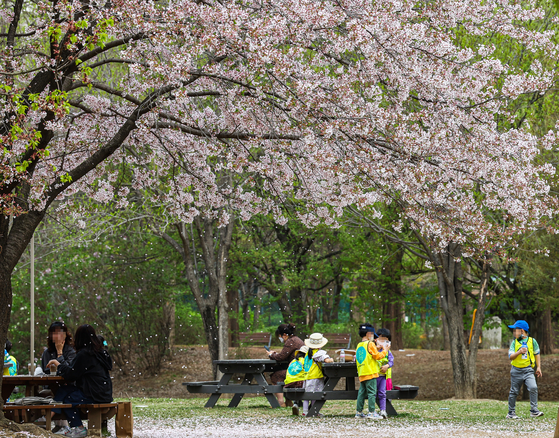 Children enjoy a day out under the cherry blossoms at Seoul Forest. [YONHAP]