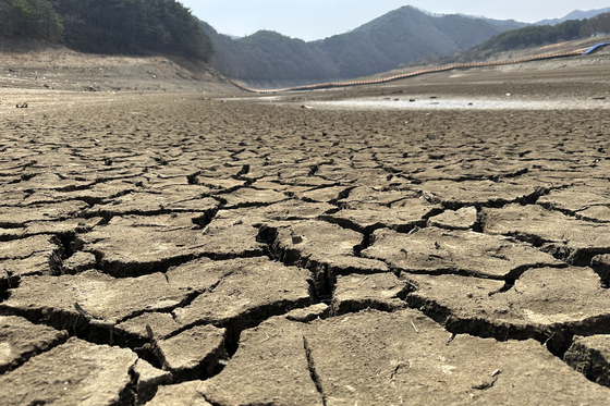 Parts of the reservoir of Juam Dam in Suncheon, South Jeolla are completely dried up due to protracted dry weather in the area. [YONHAP] 