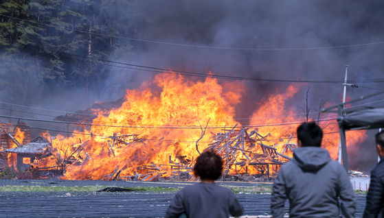 Devastated residents watch their houses completely engulfed in fire helplessly in Gangneug, Gangwon. [YONHAP]
