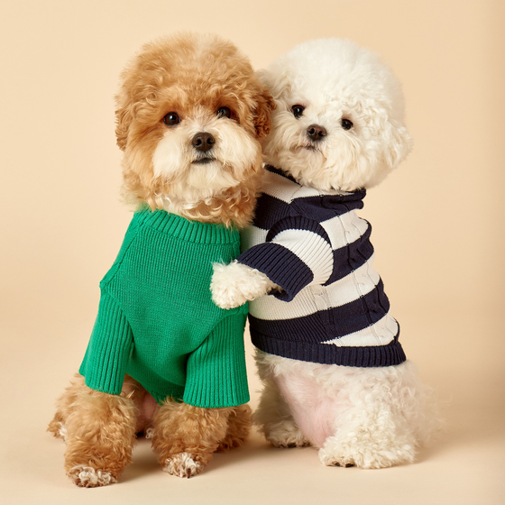 Dog models wear casual brand Hazzys' dog clothes made using the same design from existing clothes for people. [LF]