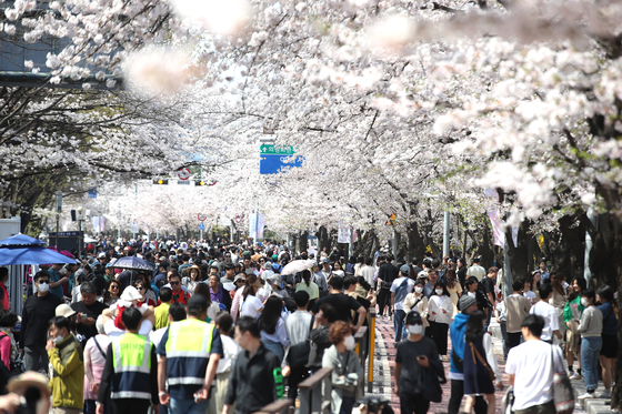 Police officers, wearing green vests, walk among the crowd to prevent safety accidents at a cherry blossom road in Yeouido, western Seoul, on April 2. [NEWS1]
