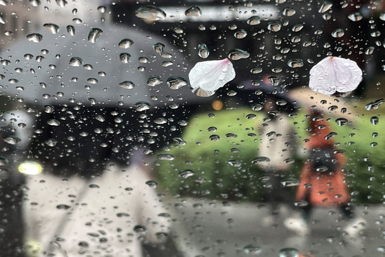 Pedestrians seen through a window, amid drizzling rain, beyond fallen flower petals in Jung District, central Seoul on April 5 [YONHAP]