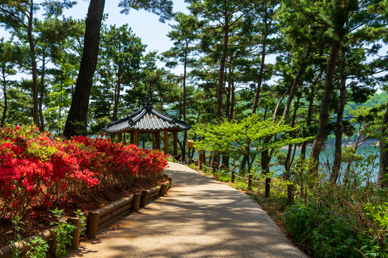 A walking course to Ogakjeong Pavilion is popular among tourists visiting Cheongnamdae in Cheongju, North Chungcheong. [BAEK JONG-HYUN]