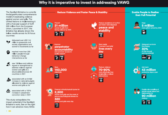 A page of ″Imperative to Invest″ report by Dalberg and Spotlight Initiative published in September last year. [SCREEN CAPTURE]