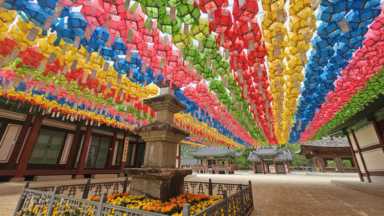 Lotus lanterns line Baekdam Temple in Inje County, Gangwon on Thursday, two days prior to Buddha’s Birthday. [YONHAP]
