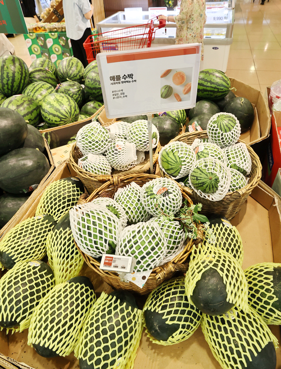 Small watermelons are displayed at a discount mart in Seoul on Tuesday. Small watermelon varieties are gaining popularity as the number of single-person households surges in Korea. Sales of black mango watermelon increased 283 percent on year from May 11 to 31 while apple watermelon sales surged by 184 percent compared to the same period last year, according to Homeplus. [YONHAP]