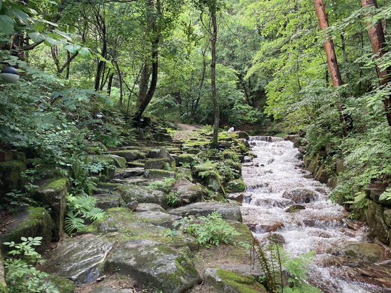 Phoenix Pyeongchang offers visitors a place to stop by to cool the heat down at Sinami Valley, Pyeongchang County, Gangwon. [PHOENIX HOTEL AND RESORTS]