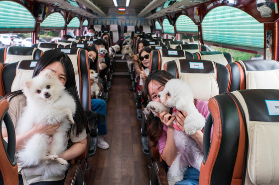 Taean Daengdaeng Bus package, run by Petsgo and Korea Tourism Organization, offers a tour that is dog-friendly and enjoyable for both the dog and the dog owners. [BAEK JONG-HYUN] 