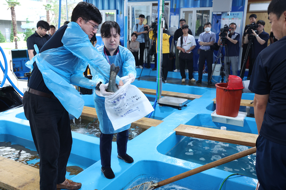 Officials from the Public Health and Environment Research Institute of Busan Metropolitan City put a bass into a plastic bag for a radioactivity test at a fish market in Busan on Thursday. [YONHAP]