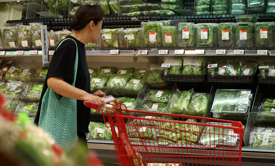 Crop prices such as red lettuces and spinach have skyrocketed due to recent heavy downpours. A woman is seen looking over the vegetable section of a supermarket in Seoul on Monday. [NEWS1] 