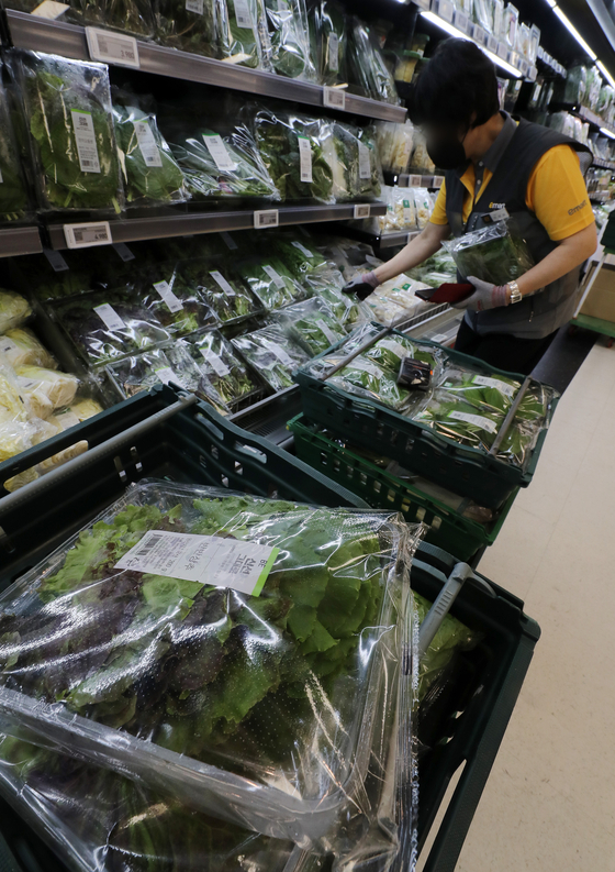 An employee displays lettuce at a discount supermarket in downtown Seoul on Wednesday. Due to heavy rain, prices of vegetables are surging in Korea, with lettuce prices jumping 82.3 percent on year in July and prices of spinach 66.9 percent. [NEWS1]  