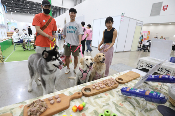 Dogs eye pet food samples displayed at the Daegu Pet Show 2023 held in Exco, Daegu, on June 9. [NEWS1]