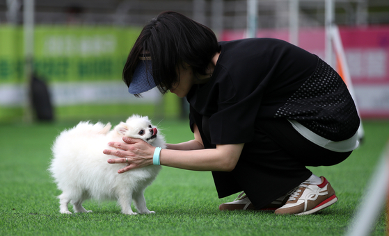 A pet owner spends time with her puppy at a dog playground in Songpa District, southern Seoul, on May 18. [NEWS1]