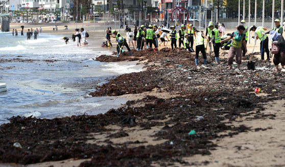 Workers clean the shores of debris and seaweed at Gwangalli Beach in Busan Friday after Typhoon Khanun passed the previous day. [NEWS1]