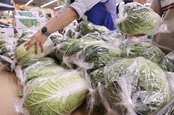 The wholesale price of napa cabbage soared 161 percent on year to 25,760 won ($19.30) per 10 kilograms (22 pounds) as of Friday, according to the Korea Agro-Fisheries & Food Trade Corporation. Intense heat waves and heavy rainfall in the monsoon season attributed to the price surge. An employee sorts napa cabbage at a discount store in Seoul on Sunday. [YONHAP]