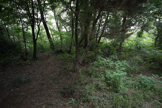 Photo shows a hiking trail in Sillim-dong, Gwanak District in southern Seoul where a 30-year-old man is suspected of assaulting and raping a random woman on Thursday. [NEWS1]