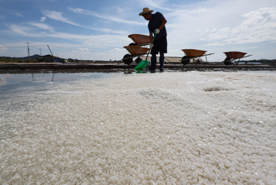 A farmer harvests salt at a salt pond in Hwaseong, Gyeonggi, on Monday. Kyodo News reported that Japanese Prime Minister Fumio Kishida met with heads of fishermen's groups in the afternoon. The Japanese government is expected to release treated radioactive wastewater from the crippled Fukushima nuclear plant during August. [YONHAP]