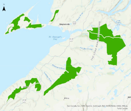 Four locations on the Newfoundland in eastern Canada in which Canada's green hydrogen Nujio'qonik project received approval to use the state-owned land to build wind farms. [SK ECOPLANT]