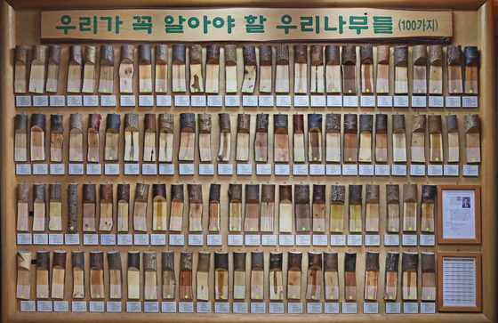 An educational material created by Ga, which has 100 samples of native trees  [PARK SANG-MOON]