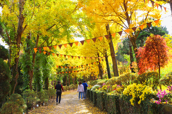 Beartree Park's Autumn Leaves Trail [JOONGANG ILBO] 