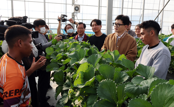 Justice Minister Han Dong-hoon discusses with migrant workers at a straberry farm in Wanju county on Monday. [YONHAP]