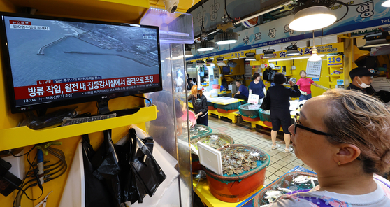 A fish monger in Incheon watches the news on the Fukushima Daiichi Nuclear Power Plant releasing the treated radioactive water into the ocean on Aug. 24. [YONHAP]