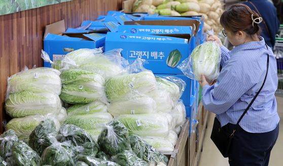 A customer shops for napa cabbage at a supermarket in Seoul on Oct. 10. [NEWS1]