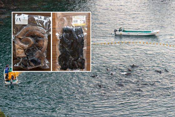 Main: The Taiji dolphin hunts. Inset: The whale and dolphin meat which was tested. [ROBERT GILHOOLY, ACTION FOR DOLPHINS]