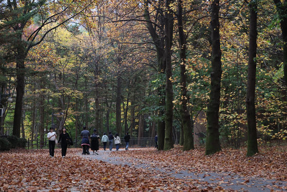 People walk along a path at a park in Gwacheon, Gyeonggi, on Wednesday. [YONHAP]