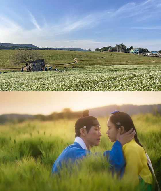 Hagwon Farm in Gochang County, North Jeolla, becomes a white buckwheat field during the fall and a green barley field in the spring. The field is seen in the poster for "My Dearest." [HAGWON FARM, MBC]