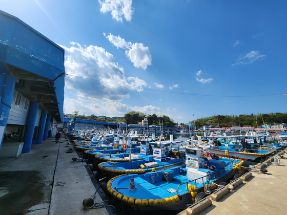 Dozens of small octopus boats moored at Daejin Port in Goseong County, Gangwon. [PARK JIN-HO, JOONGANG PHOTO]