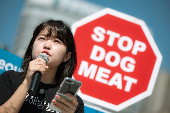 A member of an animal rights group speaks at a press conference on Sept. 8 in front of the Seoul City Council in central Seoul, urging the establishment of a bylaw prohibiting the consumption of dog meat. [NEWS1]