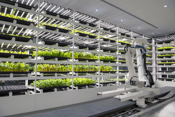 Smart farms inside the Hmgics produce up to nine different crops. [HYUNDAI MOTOR] 
