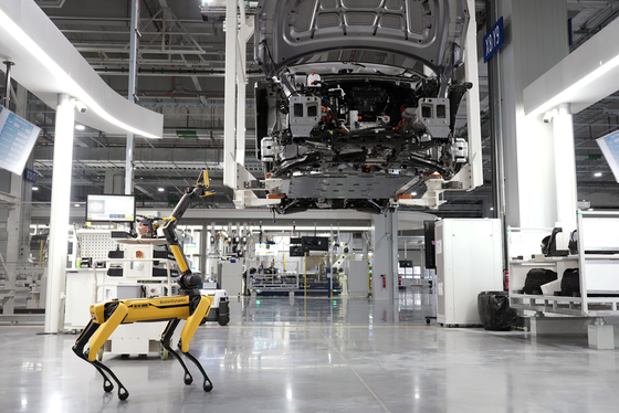 A four-legged robot dog, named AI keeper, checks the quality of an assembled car at the Hmgics. [HYUNDAI MOTOR]