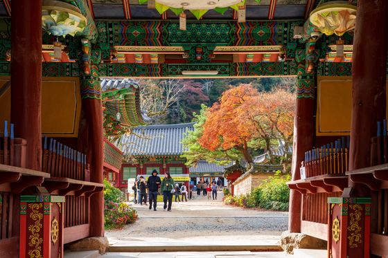 Baekyang Temple in Jangseong County, South Jeolla, is famous for the fall foliage view. [BAEK JONG-HYUN]